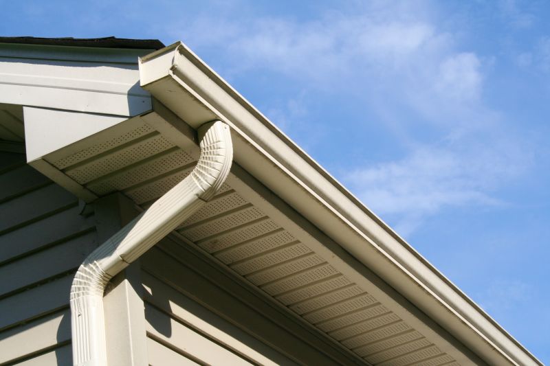Gutter Replacement detail