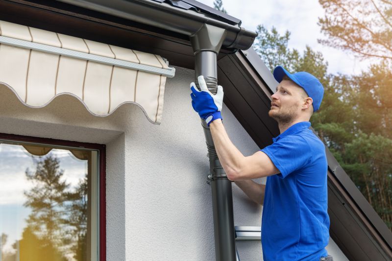 Gutter Service detail